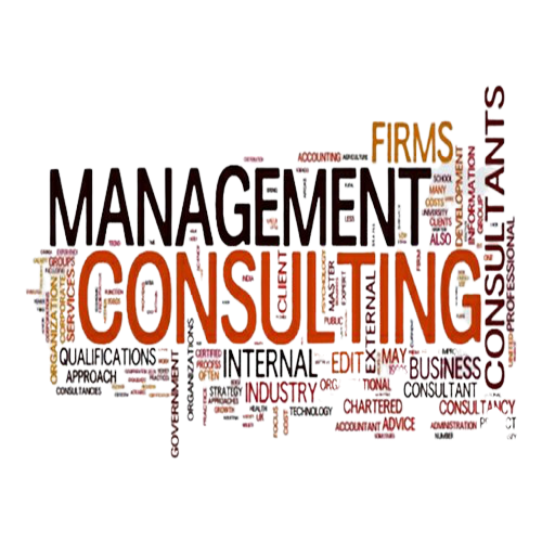 management-consulting-01